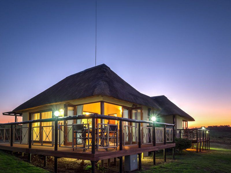 Mount Savannah Game Reserve By Dream Resorts Krugersdorp Gauteng South Africa 