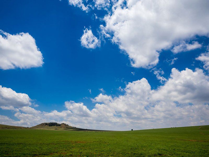 Mount Savannah Game Reserve By Dream Resorts Krugersdorp Gauteng South Africa Complementary Colors, Sky, Nature, Clouds, Lowland