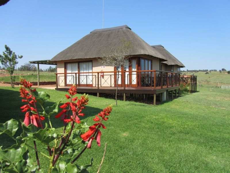 Mount Savannah Game Reserve By Dream Resorts Krugersdorp Gauteng South Africa Complementary Colors