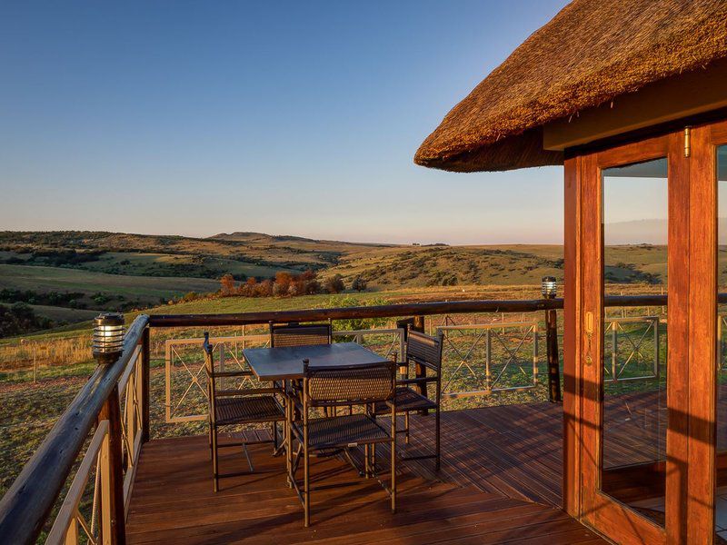 Mount Savannah Game Reserve By Dream Resorts Krugersdorp Gauteng South Africa 