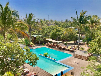 Mozambeat Motel, Beach, Nature, Sand, Palm Tree, Plant, Wood, Swimming Pool