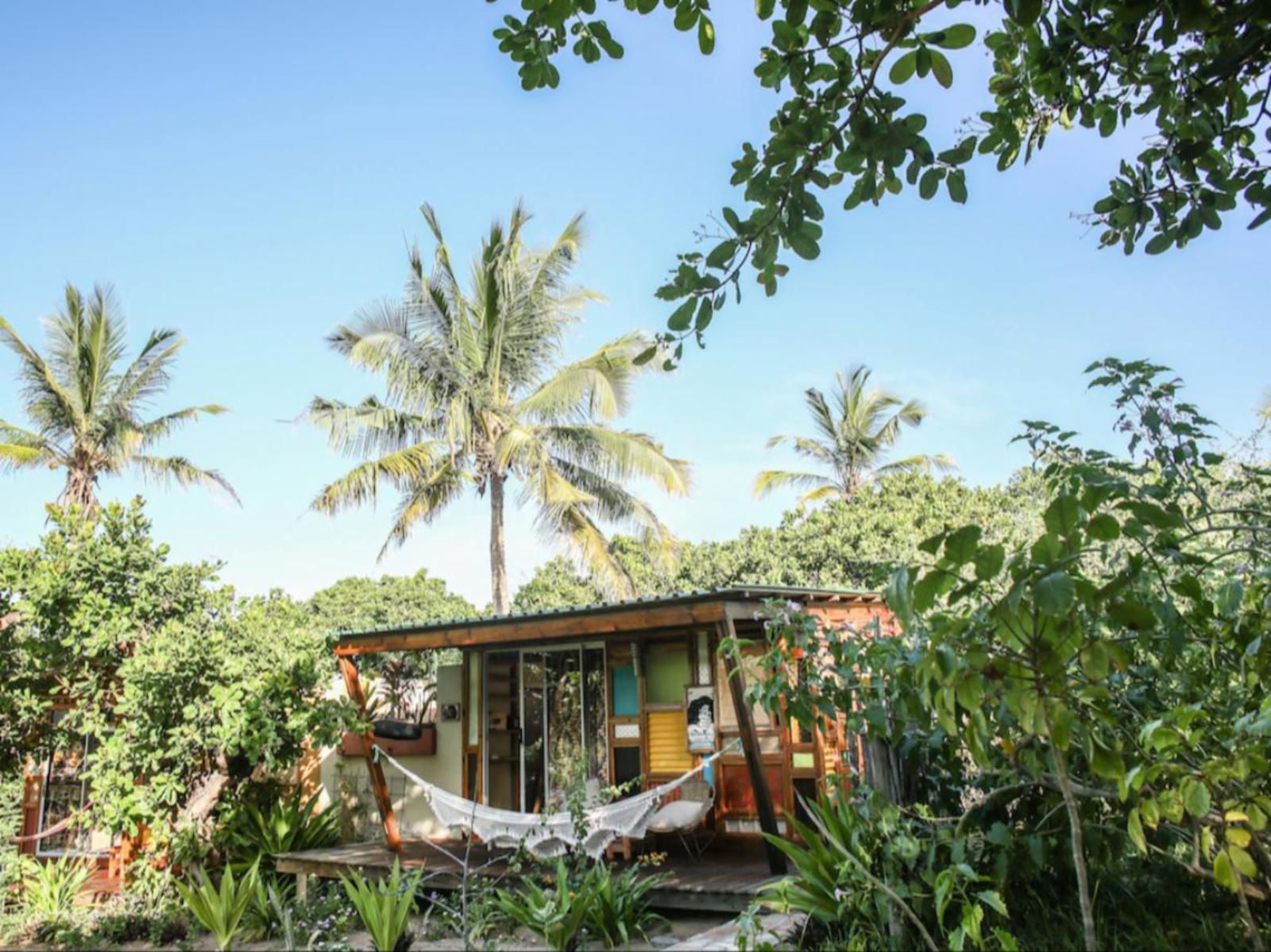 Mozambeat Motel, Island, Nature, Palm Tree, Plant, Wood