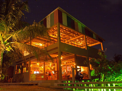 Mozambeat Motel, Colorful, Palm Tree, Plant, Nature, Wood, Person