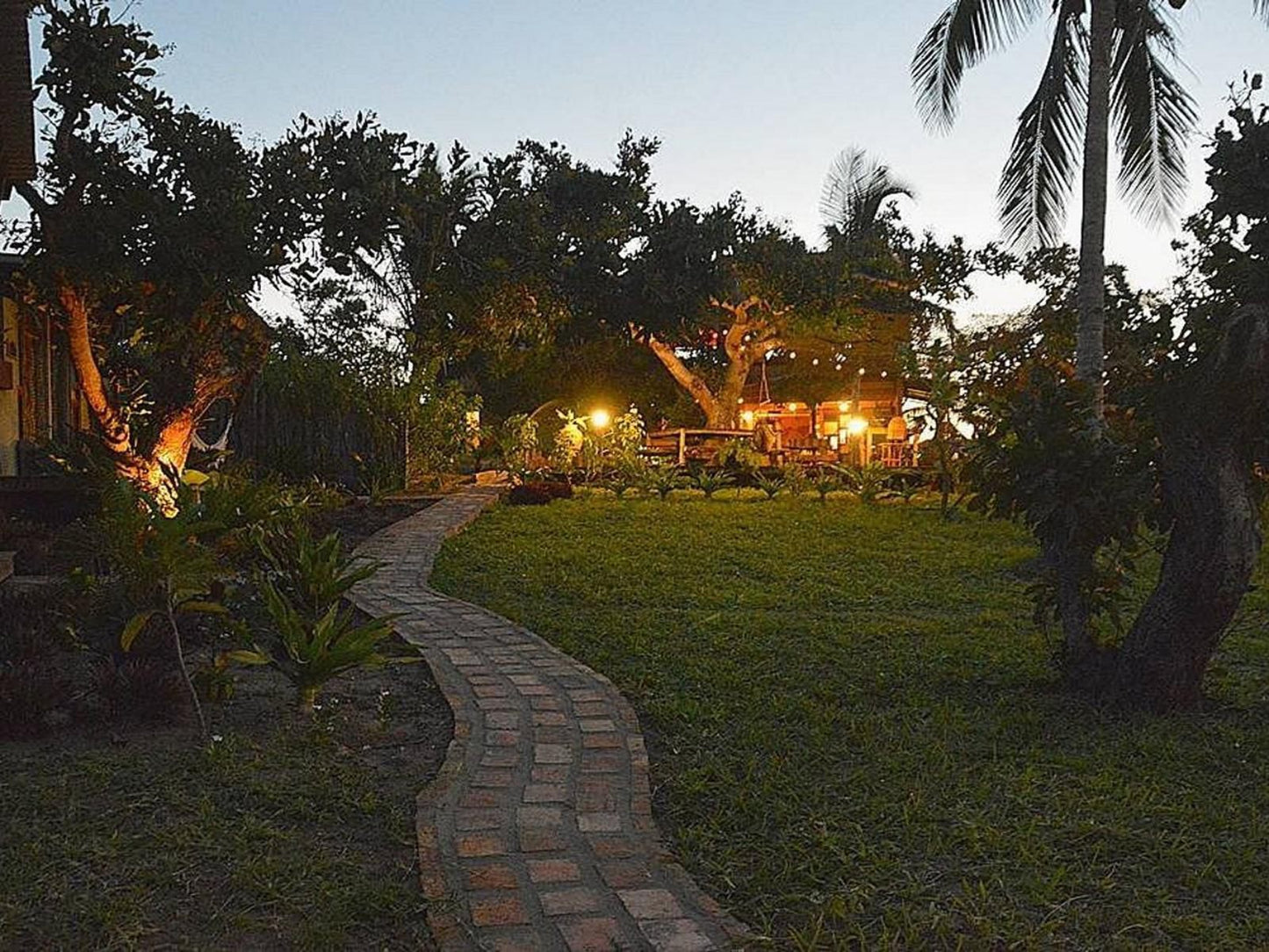 Mozambeat Motel, Fire, Nature, Palm Tree, Plant, Wood