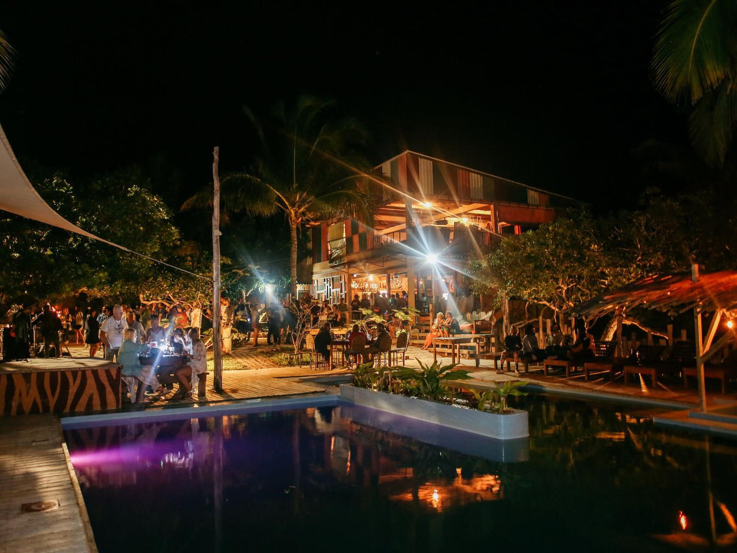 Mozambeat Motel, Palm Tree, Plant, Nature, Wood, Bar, Person