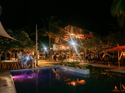 Mozambeat Motel, Palm Tree, Plant, Nature, Wood, Bar, Person