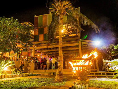 Mozambeat Motel, Colorful, Fire, Nature, Palm Tree, Plant, Wood, Person