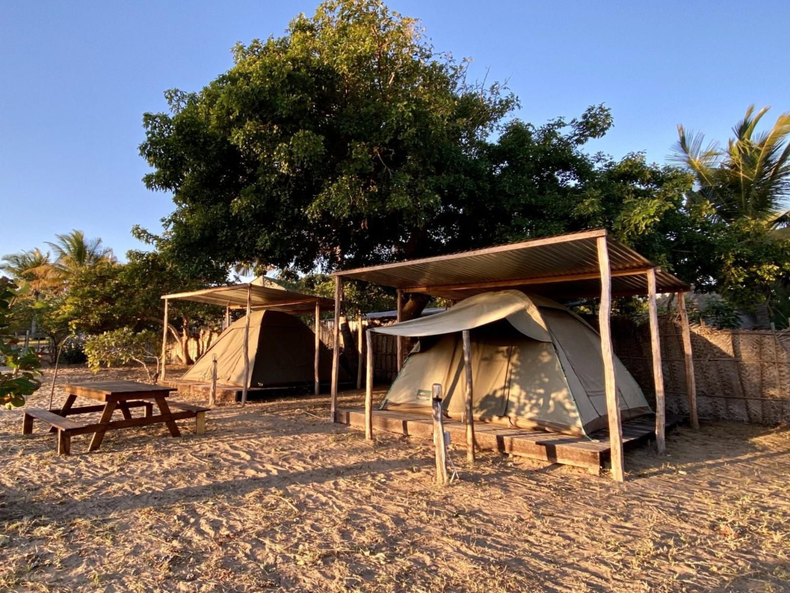 Mozambeat Motel, Dormitory, Tent, Architecture