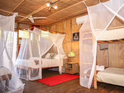 Mozambeat Motel, Pre-pitched tents, Bedroom