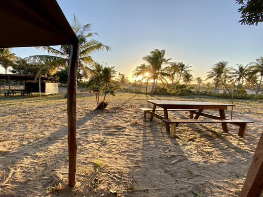 Mozambeat Motel, Pre-pitched tents, Beach, Nature, Sand, Palm Tree, Plant, Wood