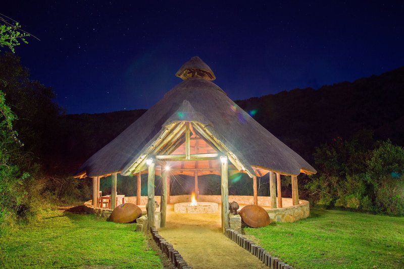 Premier Resort Mpongo Private Game Reserve Macleantown Eastern Cape South Africa 