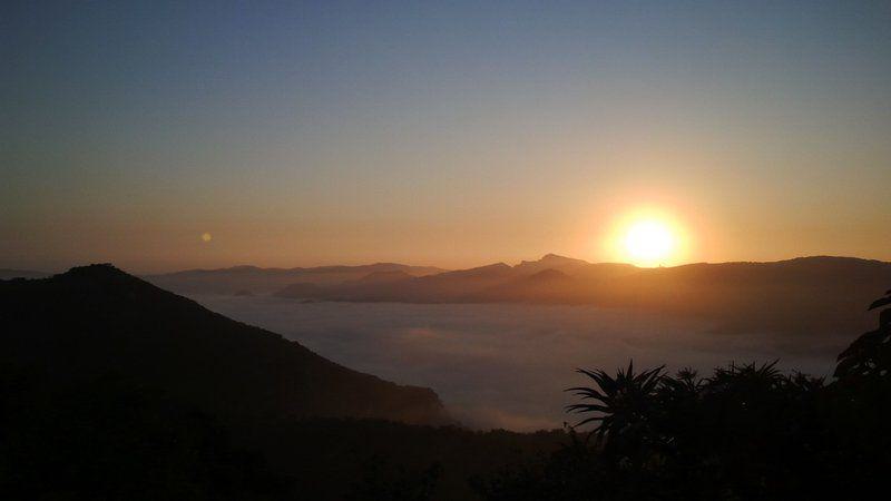 Mountain, Nature, Palm Tree, Plant, Wood, Sky, Framing, Highland, Sunset, Mpumalanga Country House, Nelspruit, Nelspruit