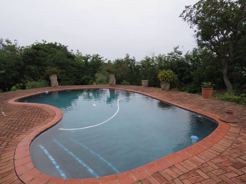 Garden, Nature, Plant, Swimming Pool, Mpumalanga Country House, Nelspruit, Nelspruit