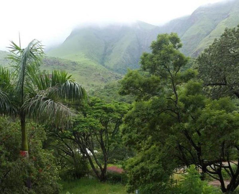 Msauli Village Barberton Mpumalanga South Africa Mountain, Nature, Plant, Tree, Wood, Highland