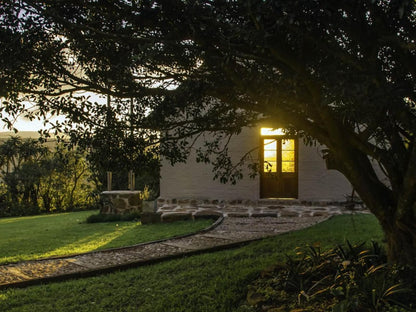 Mtonjaneni Lodge Melmoth Kwazulu Natal South Africa Framing, Garden, Nature, Plant