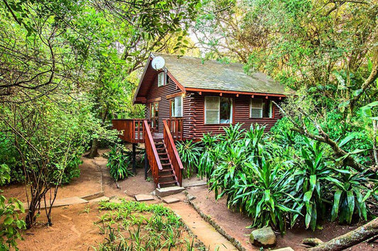 Mtunzini Forest Lodge Mtunzini Kwazulu Natal South Africa Cabin, Building, Architecture, House