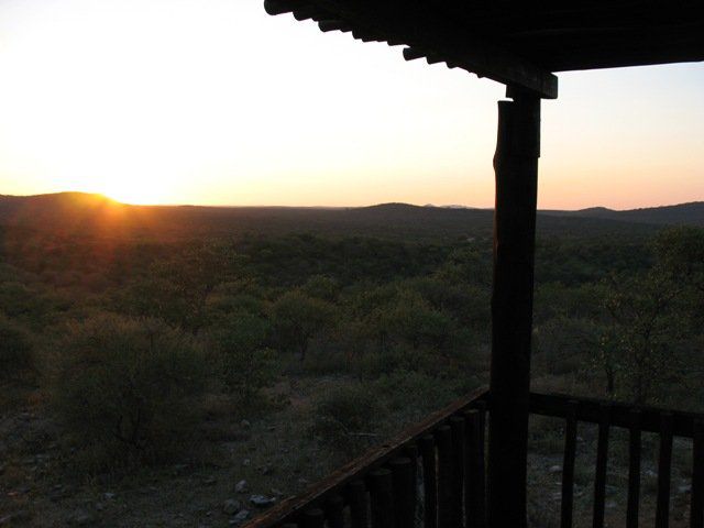 Mudzimu Nthusa Mopane Limpopo Province South Africa High Contrast, Cactus, Plant, Nature, Sunset, Sky