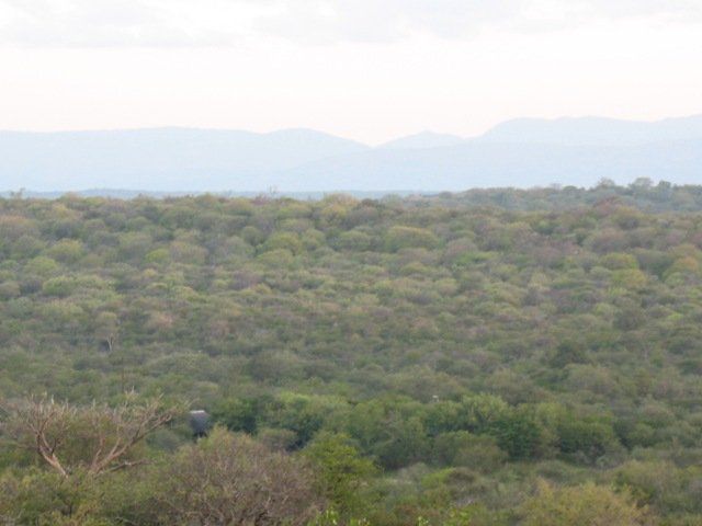 Mudzimu Nthusa Mopane Limpopo Province South Africa Nature