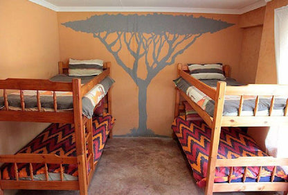 Mufasa Backpackers Lodge Cloverdene Johannesburg Gauteng South Africa 