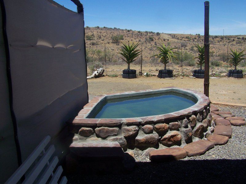 Muggefonteinkaroo Fraserburg Northern Cape South Africa Cactus, Plant, Nature, Swimming Pool