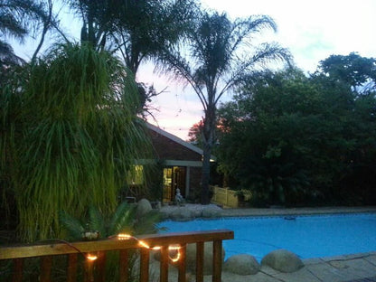 Mukurumanzi Lodge Polokwane Pietersburg Limpopo Province South Africa Palm Tree, Plant, Nature, Wood, Garden, Swimming Pool