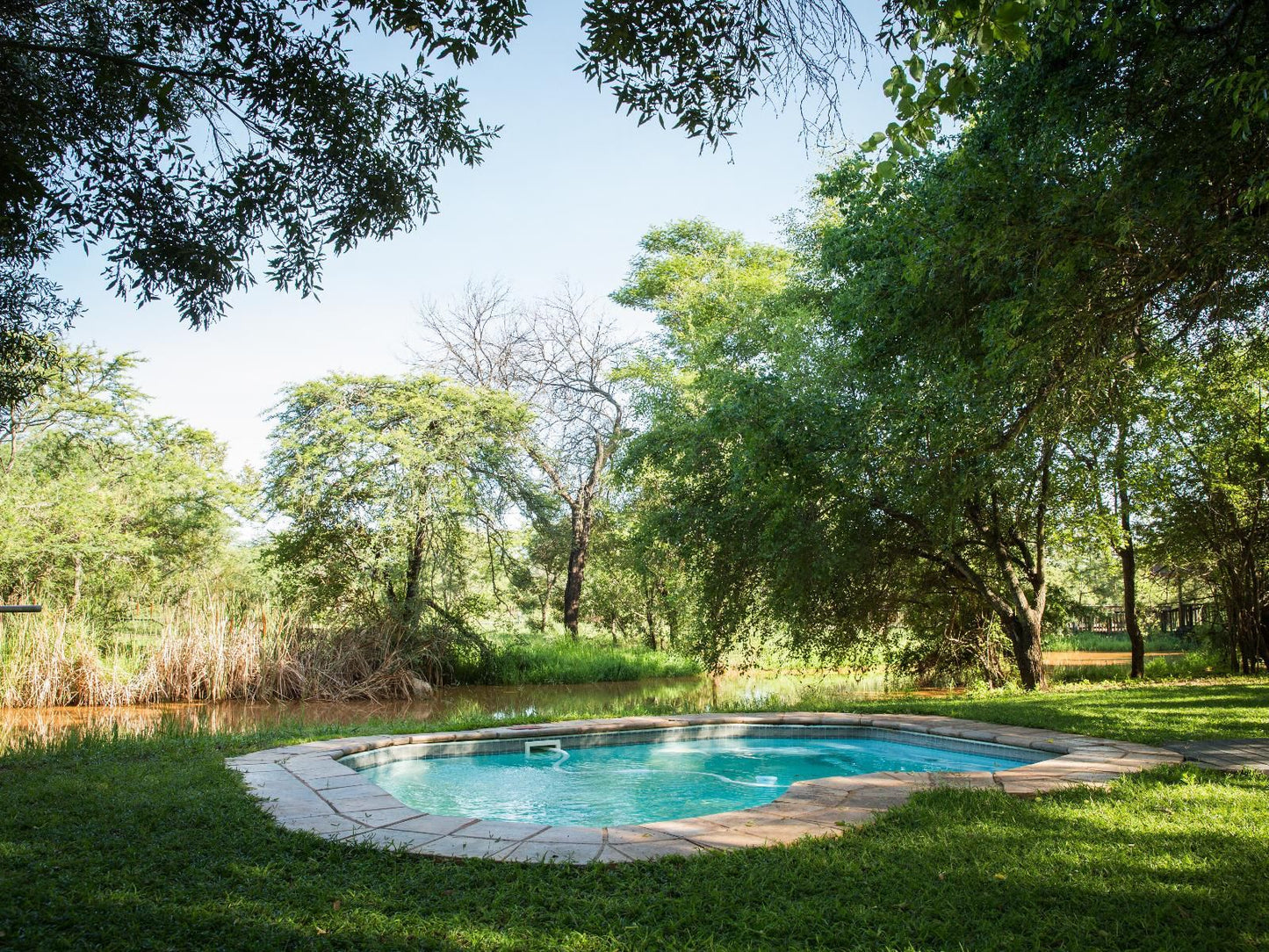Mulati Luxury Safari Camp Gravelotte Limpopo Province South Africa Garden, Nature, Plant, Swimming Pool