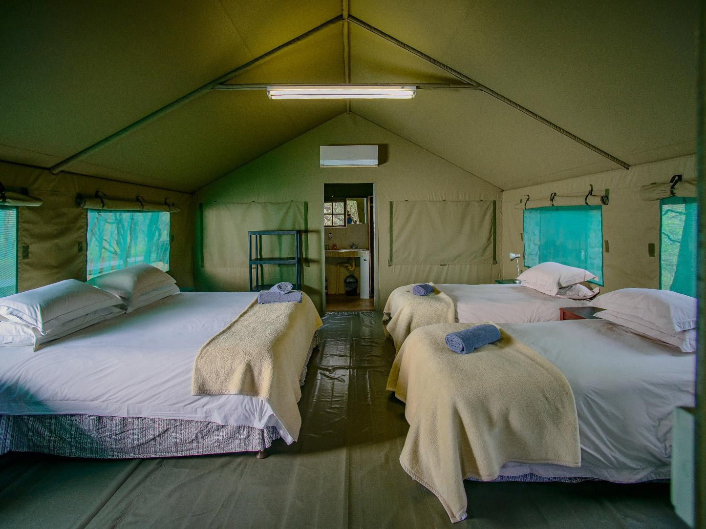 Mulati Luxury Safari Camp Gravelotte Limpopo Province South Africa Tent, Architecture, Bedroom