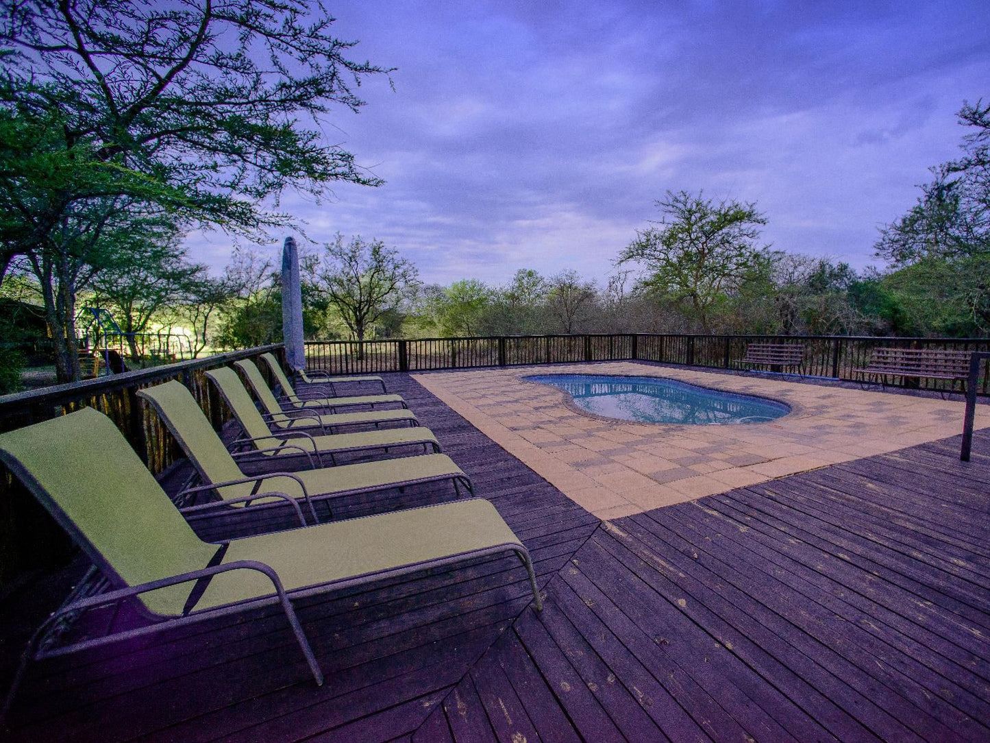 Mulati Luxury Safari Camp Gravelotte Limpopo Province South Africa Swimming Pool