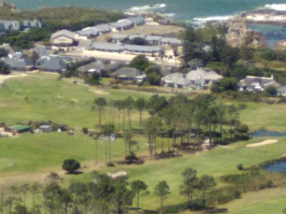 Mulligans Guest Lodge Eastcliff Hermanus Western Cape South Africa Palm Tree, Plant, Nature, Wood, Aerial Photography