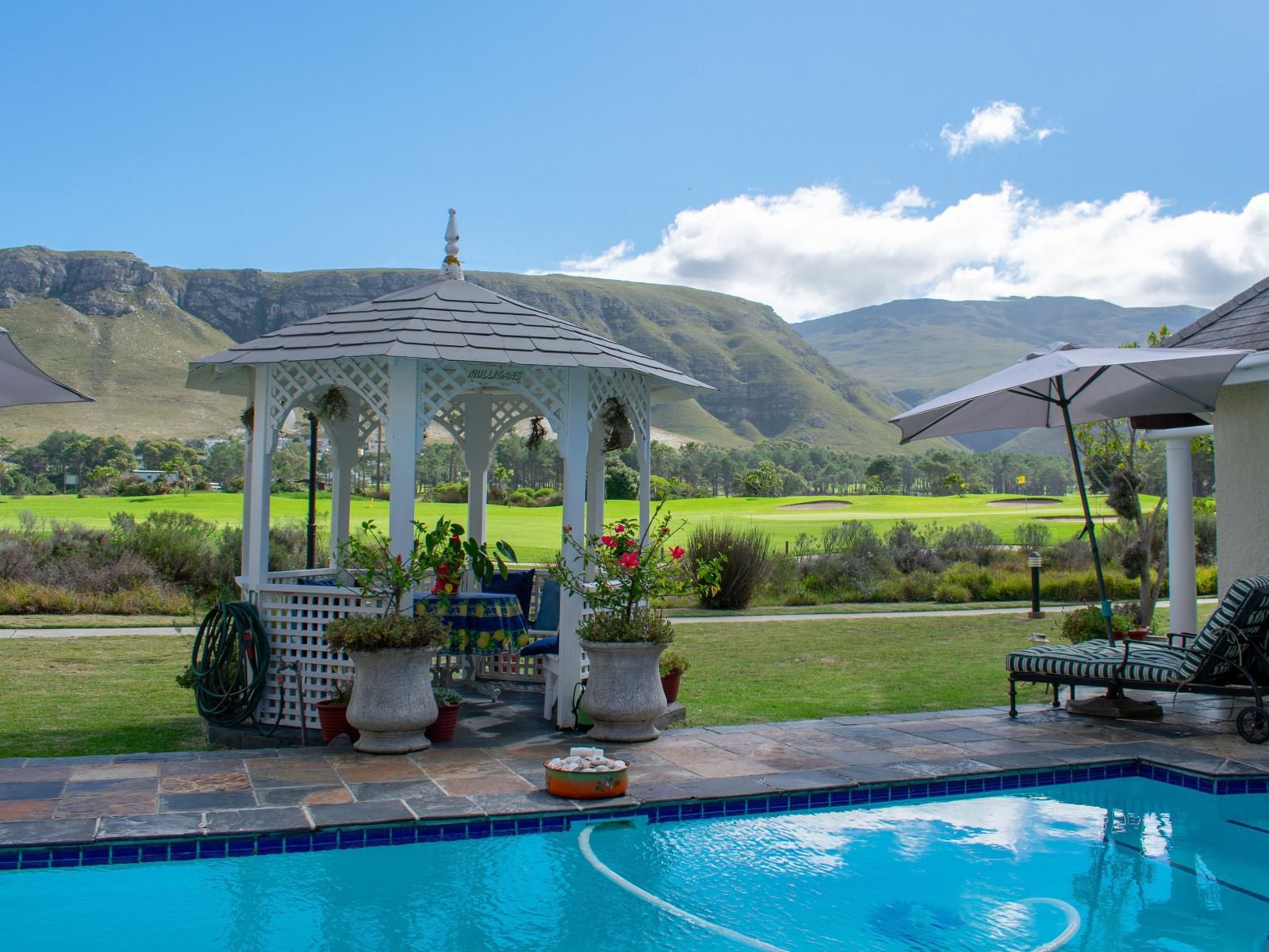 Mulligans Guest Lodge Eastcliff Hermanus Western Cape South Africa Highland, Nature