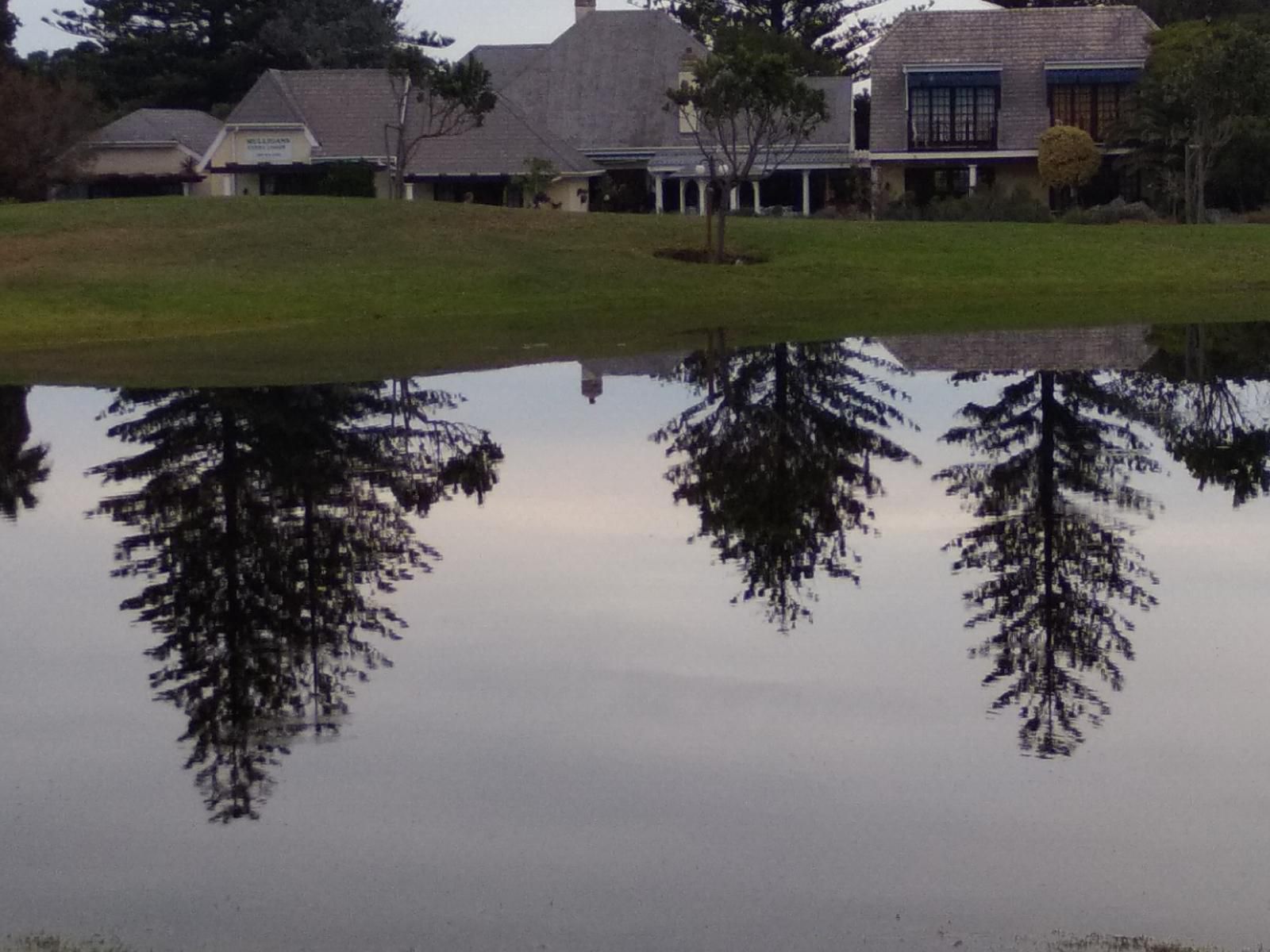 Mulligans Guest Lodge Eastcliff Hermanus Western Cape South Africa Lake, Nature, Waters, Tree, Plant, Wood