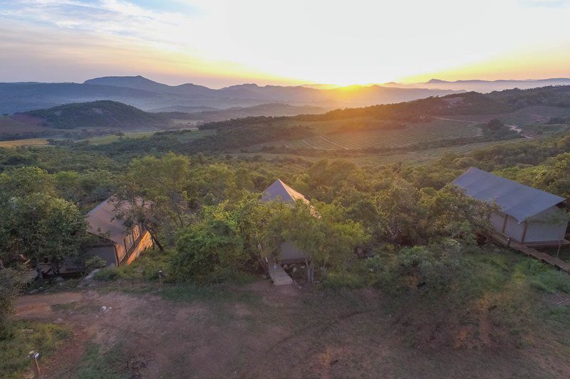 Muluwa Lodge White River Mpumalanga South Africa 