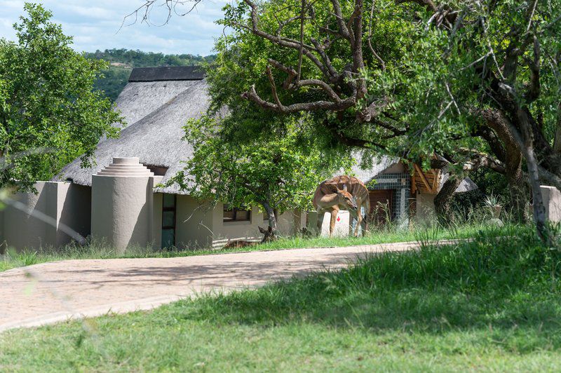 Muluwa Lodge White River Mpumalanga South Africa 