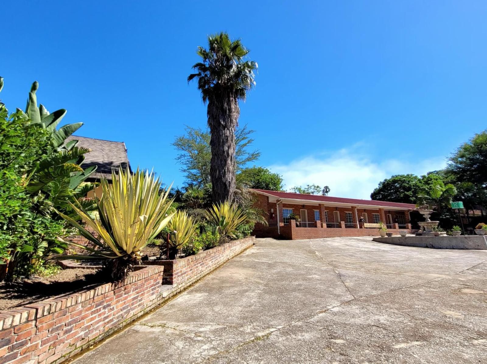 Mumo Resort, House, Building, Architecture, Palm Tree, Plant, Nature, Wood