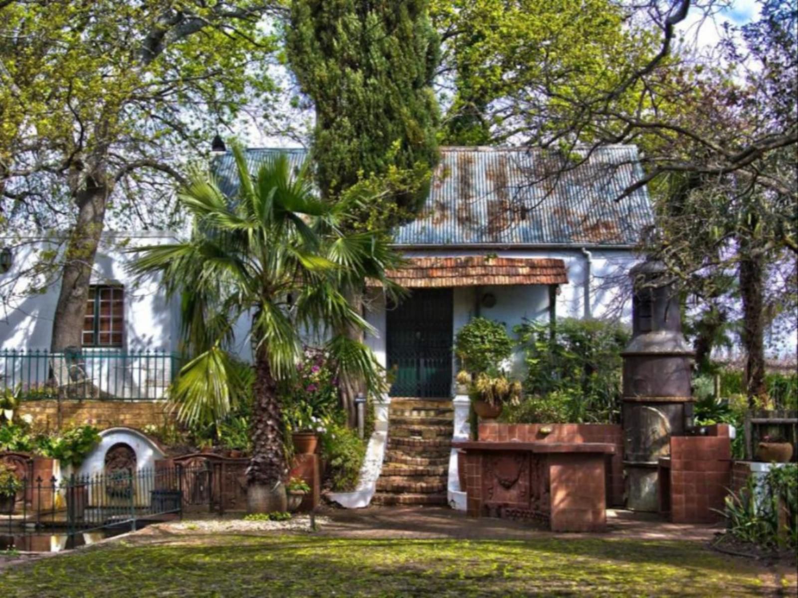 Muratie Wine Estate, House, Building, Architecture, Palm Tree, Plant, Nature, Wood