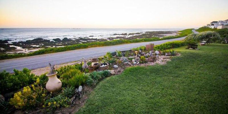 Murphys Beachview Port Elizabeth Eastern Cape South Africa Beach, Nature, Sand, Plant, Garden