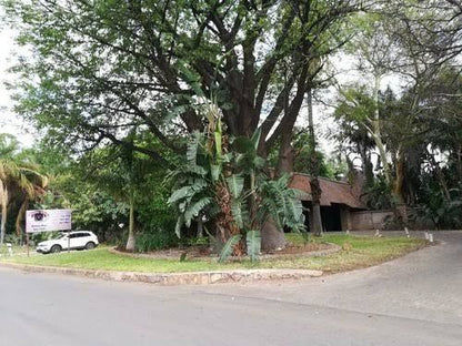 Musina Lodge Musina Messina Limpopo Province South Africa House, Building, Architecture, Palm Tree, Plant, Nature, Wood