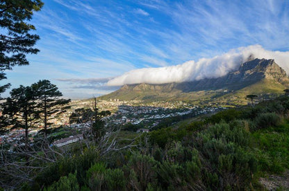 Afribode Mutual Heights 810 Cape Town City Centre Cape Town Western Cape South Africa Mountain, Nature, Highland