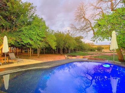 Mvuradona Safari Lodge Marloth Park Mpumalanga South Africa Complementary Colors, Swimming Pool
