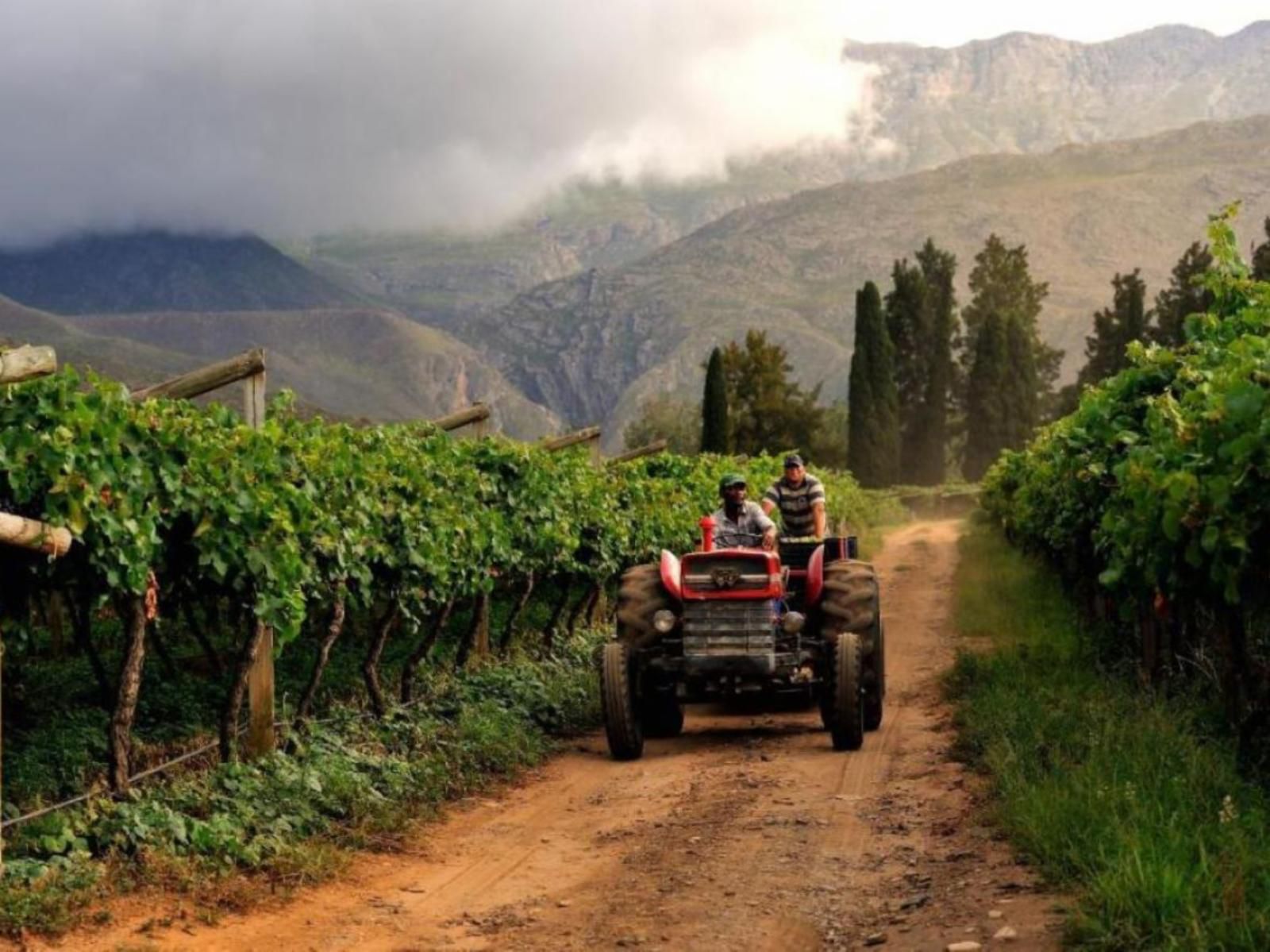 Mymering Wine And Guest Estate Ladismith Western Cape South Africa Field, Nature, Agriculture, Tractor, Vehicle