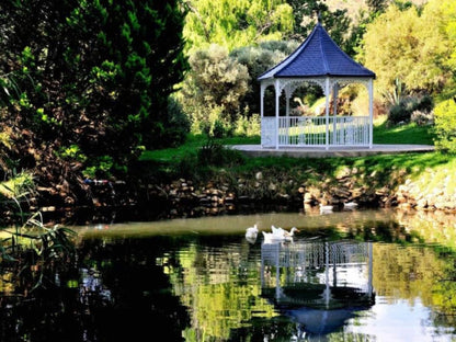 Mymering Wine And Guest Estate Ladismith Western Cape South Africa Pavilion, Architecture, Garden, Nature, Plant