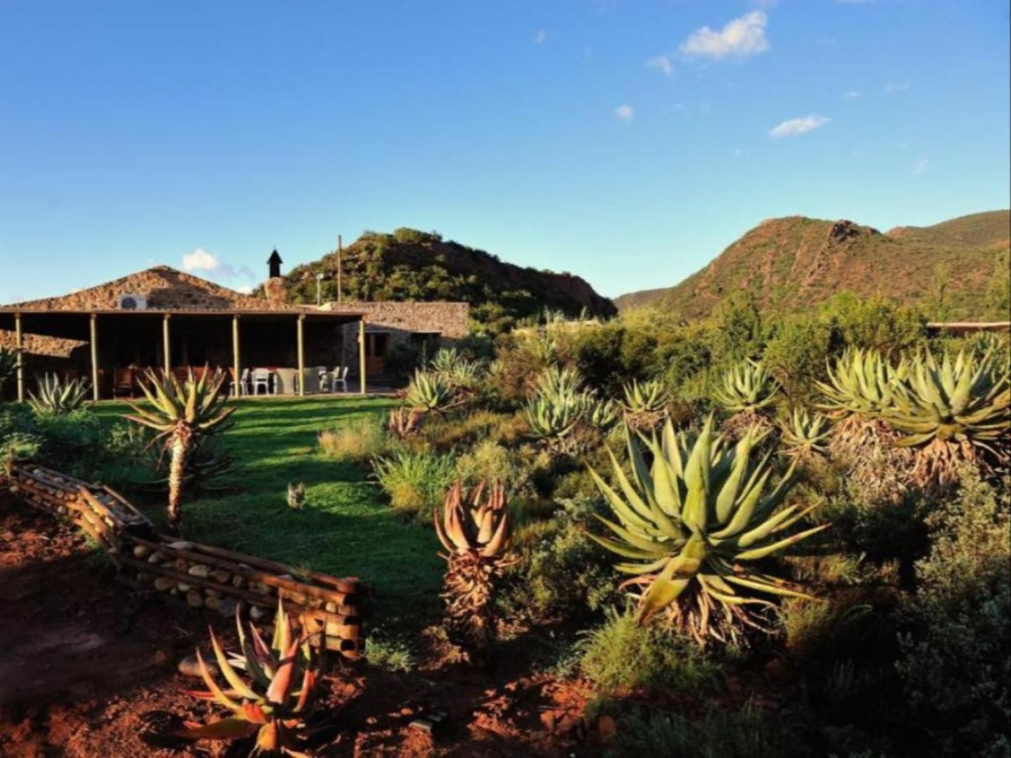 Mymering Wine And Guest Estate Ladismith Western Cape South Africa Complementary Colors, Cactus, Plant, Nature