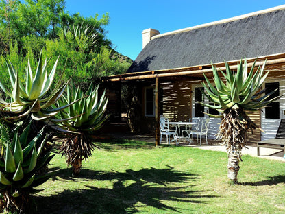 Black Poodle Cottage @ Mymering Wine & Guest Estate