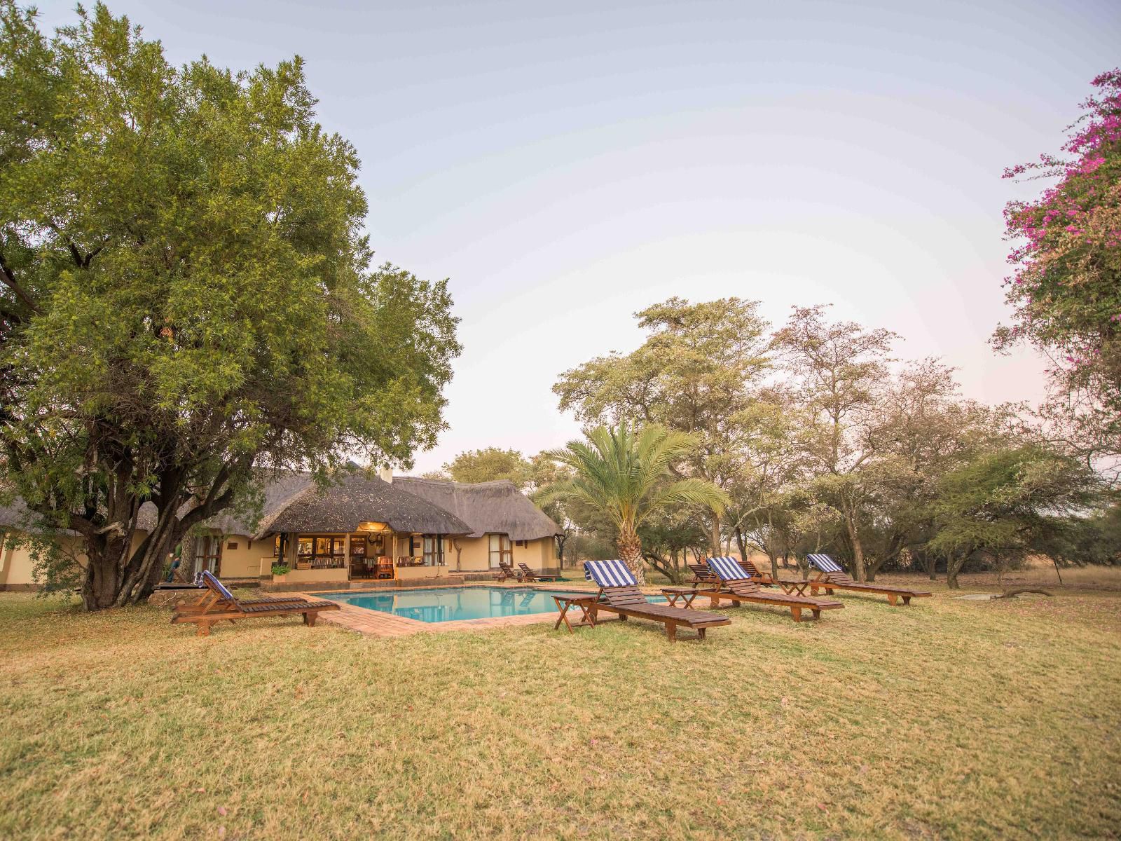 Mziki Safari Lodge Mziki Nature Reserve North West Province South Africa Swimming Pool