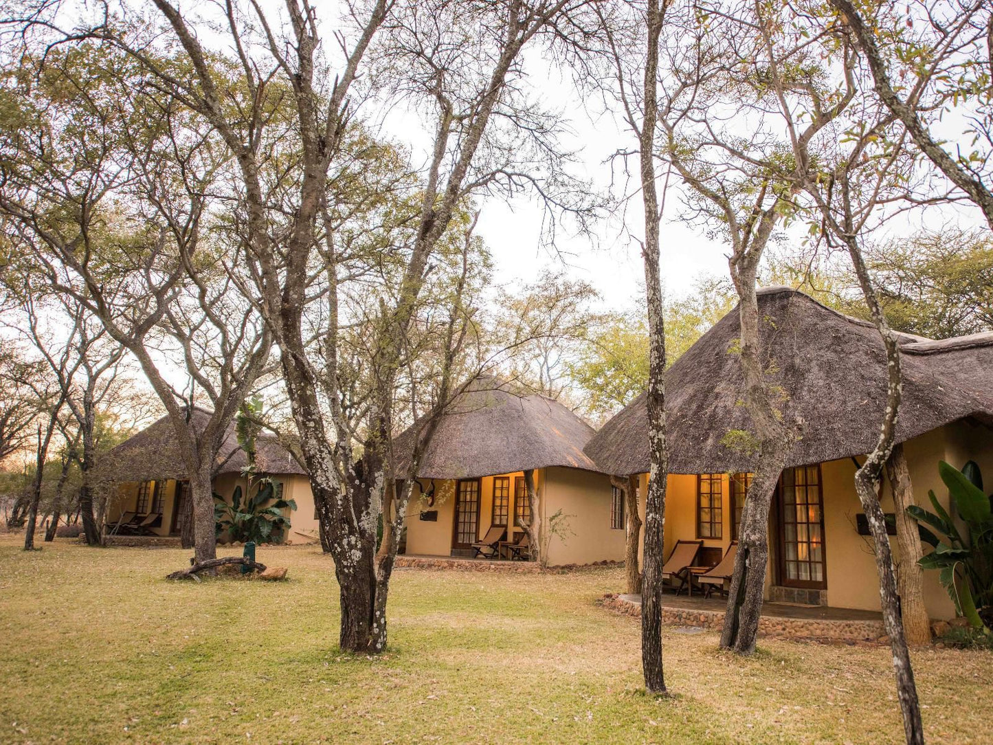 Mziki Safari Lodge Mziki Nature Reserve North West Province South Africa 