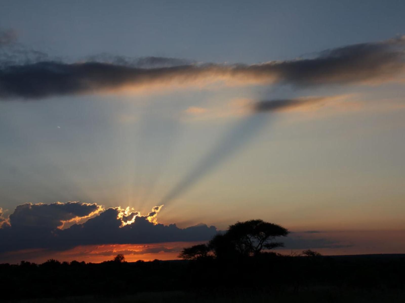 Mziki Safari Lodge Mziki Nature Reserve North West Province South Africa Sky, Nature, Sunset