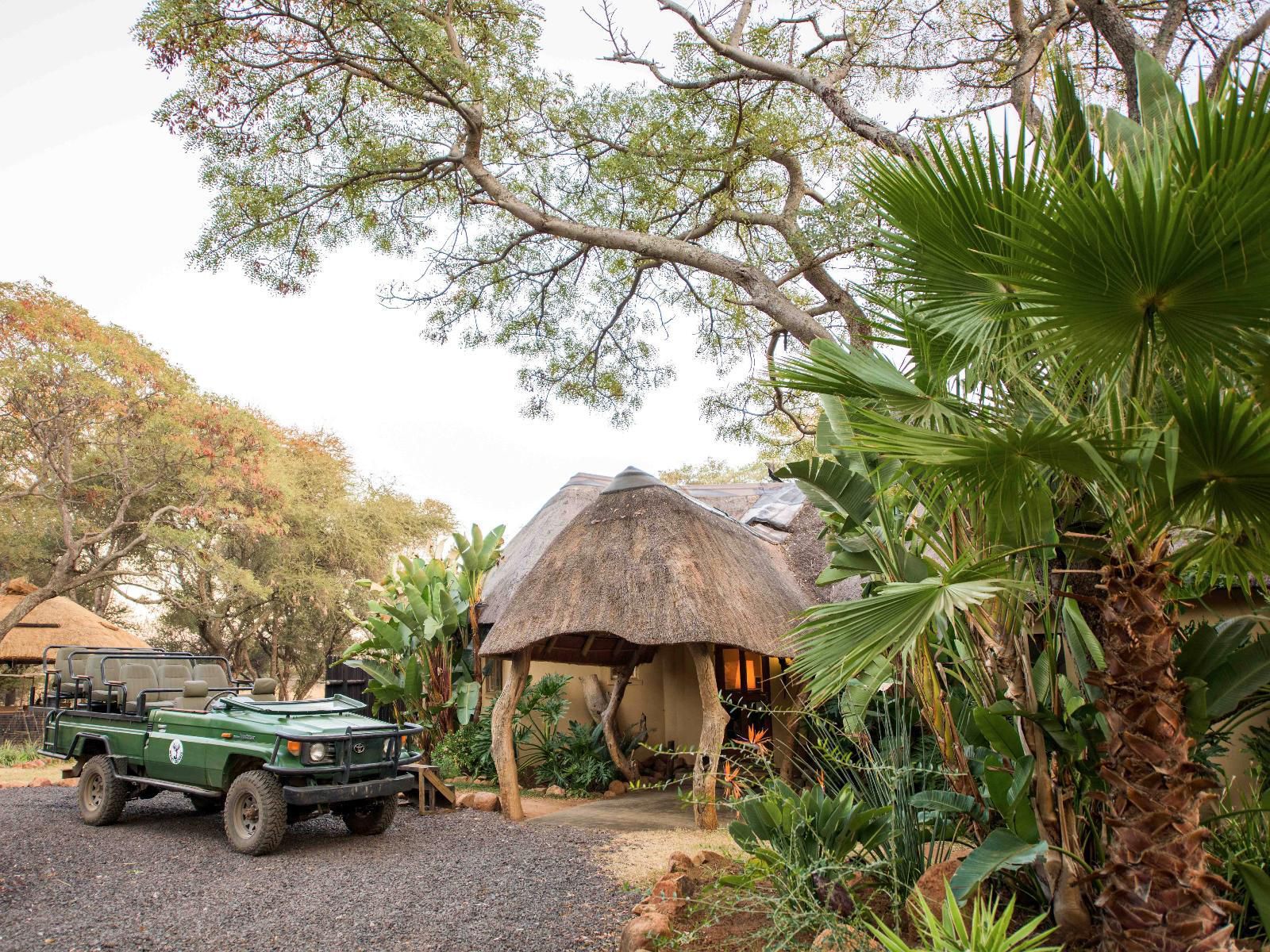 Mziki Safari Lodge Mziki Nature Reserve North West Province South Africa Palm Tree, Plant, Nature, Wood