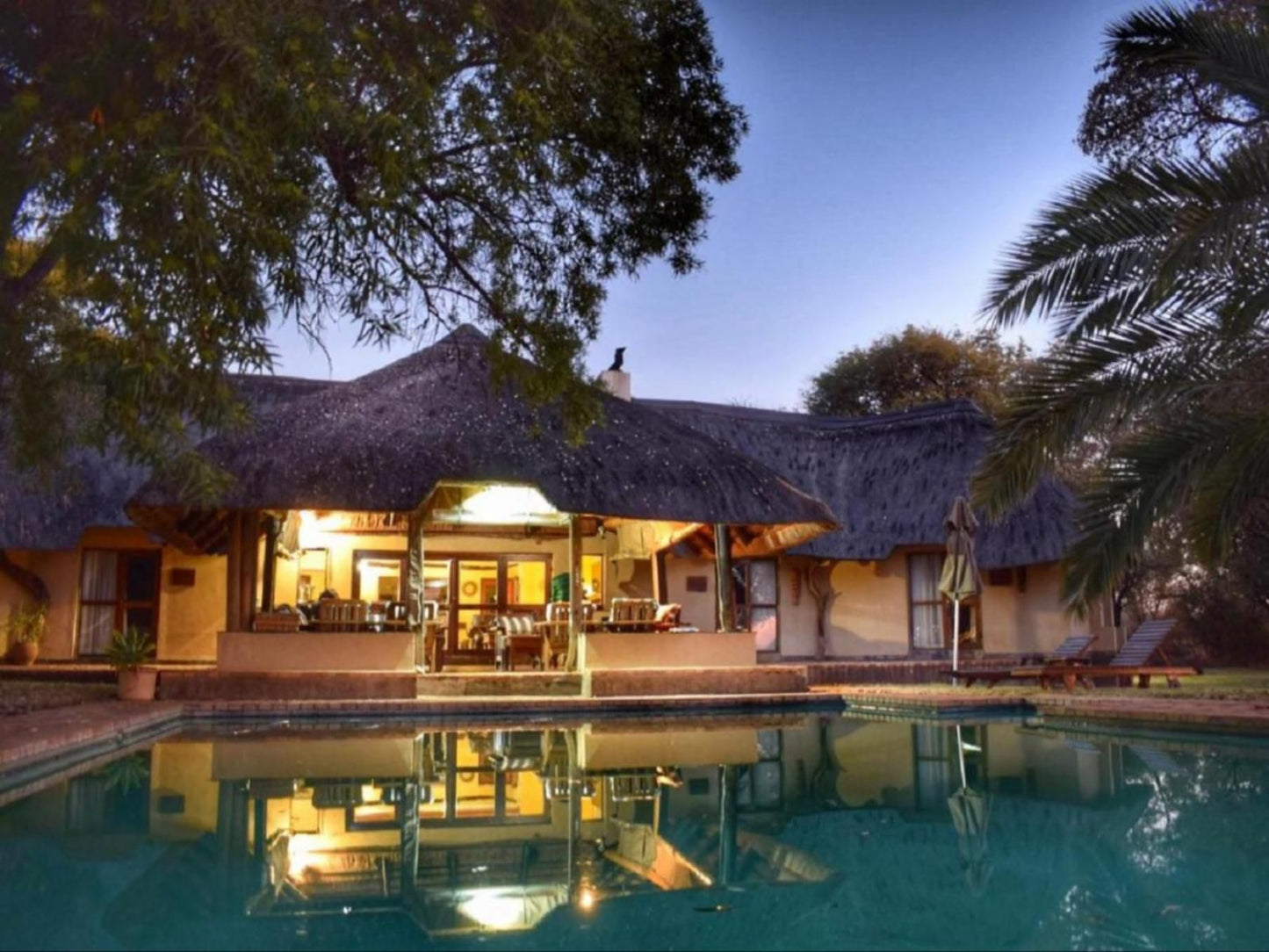 Mziki Safari Lodge Mziki Nature Reserve North West Province South Africa House, Building, Architecture, Palm Tree, Plant, Nature, Wood, Swimming Pool