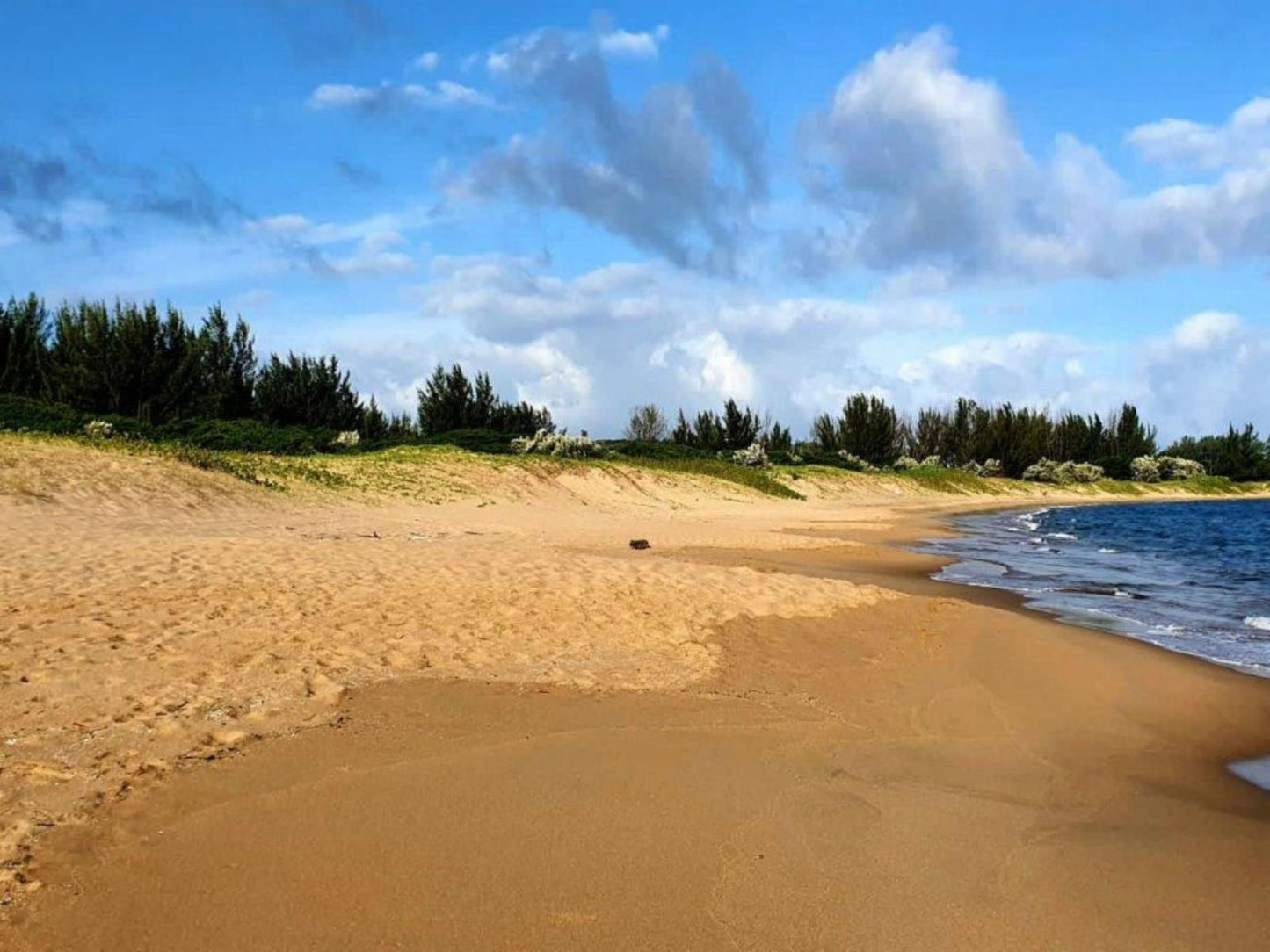 Mzingazi Accommodation, Colorful, Beach, Nature, Sand