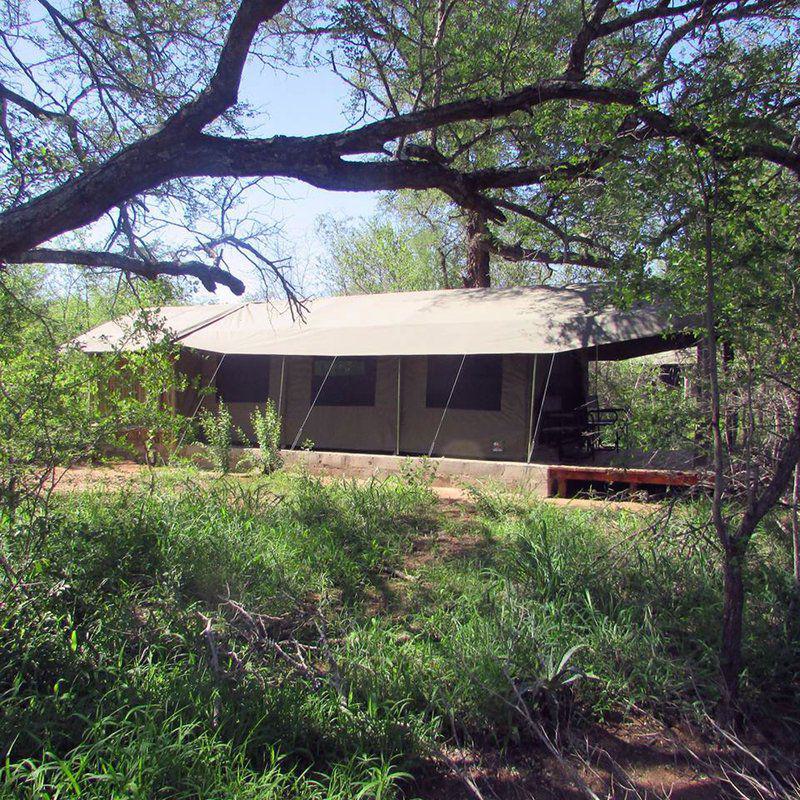 Mzsingitana Tented Camp, Manyeleti Reserve, Manyeleti Reserve